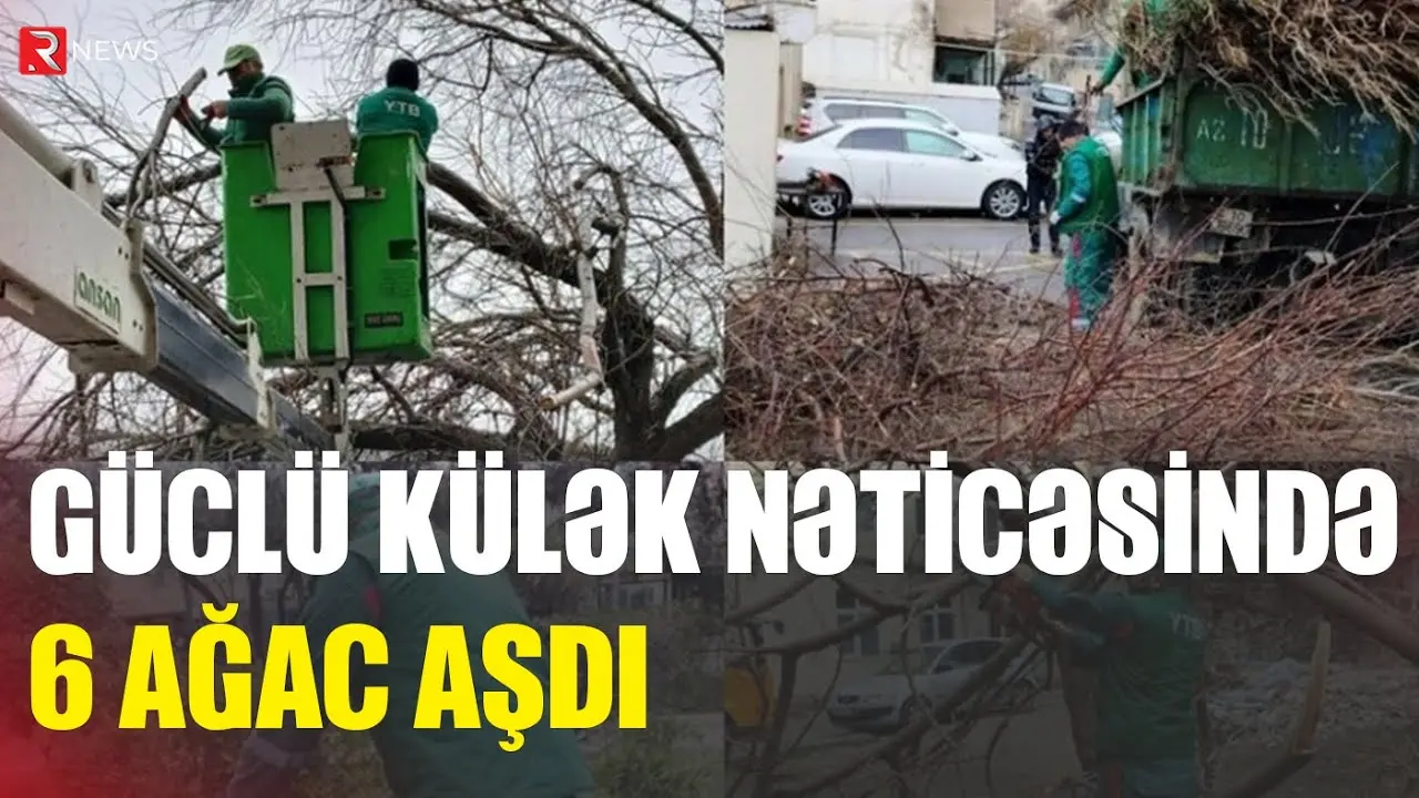 Bakıda güclü külək nəticəsində 6 ağac aşdı - RTV