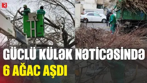 Bakıda güclü külək nəticəsində 6 ağac aşdı - RTV